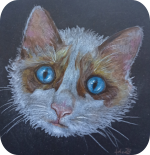 Retrato de gatita realizado a pastel. Frida.