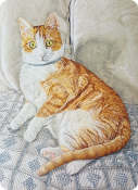Retrato de gato realizado con lápices de colores. Valentín.